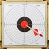 trening strzelecki z wiatrowki tarcza papierowa 45 na 45 czerwony srodek redxone trening strzelecki z wiatrowki tarcza papierowa 45 na 45 czerwony srodek redxone
